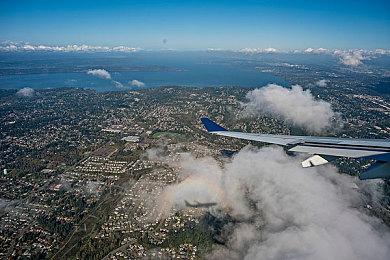 《角落萌宠》新游确定12月2日登陆Switch发售 电影联动版