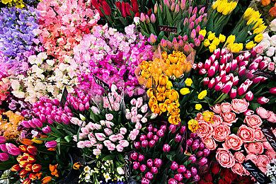 国服《命运方舟》官方开通微博 预计2023年开服